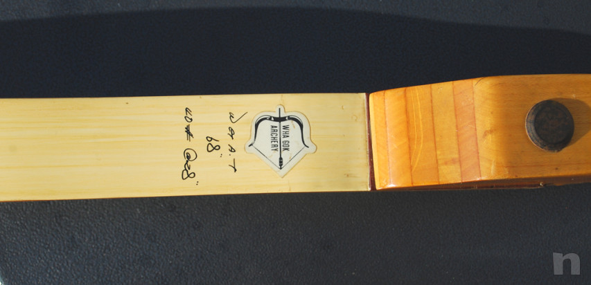 Arco professionale ben tenuto foto-27852