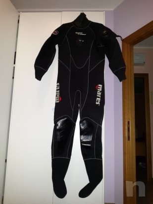 Muta stagna foto-1476