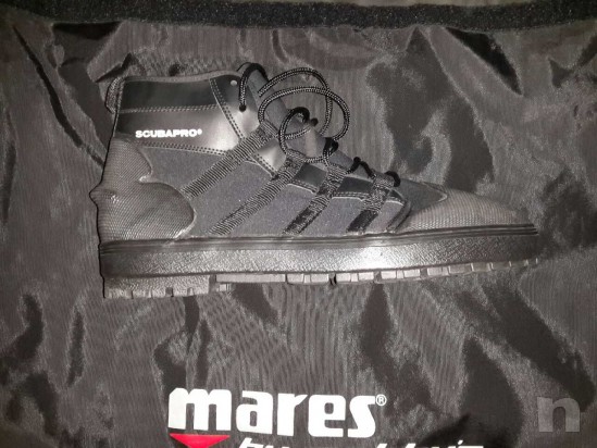 Muta stagna foto-2315