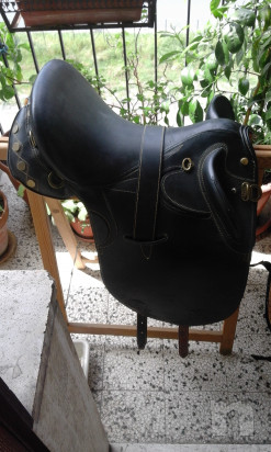 Sella australiana foto-14766