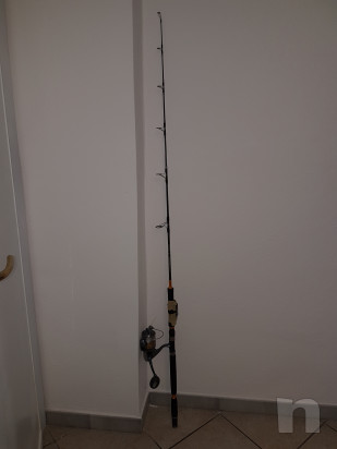 Canna Verticalxzoga400 taka.si foto-14804