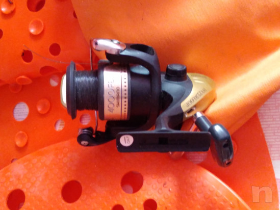 Canne e mulinelli  foto-28282