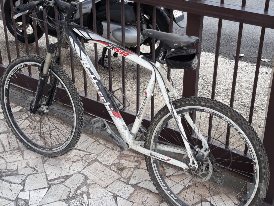 Vendo bottecchia fx 530 usata pochissimo  foto-28333