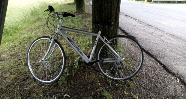 Bici Bottecchia trekking  28p. foto-15027