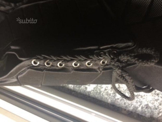 Tartaruga Tipperary foto-28529