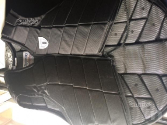 Tartaruga Tipperary foto-15111