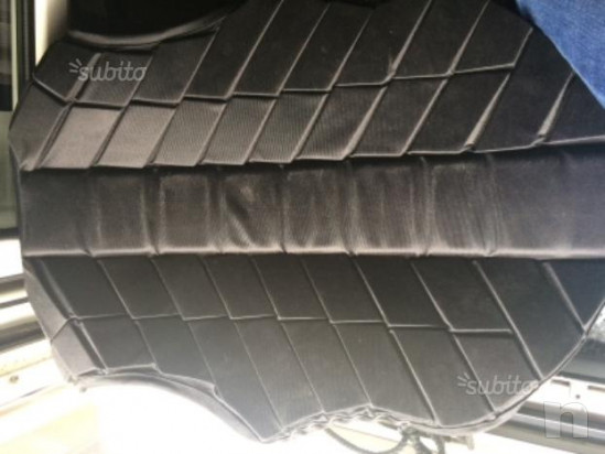 Tartaruga Tipperary foto-28531