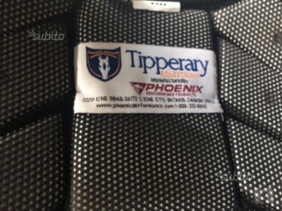 Tartaruga Tipperary foto-28530