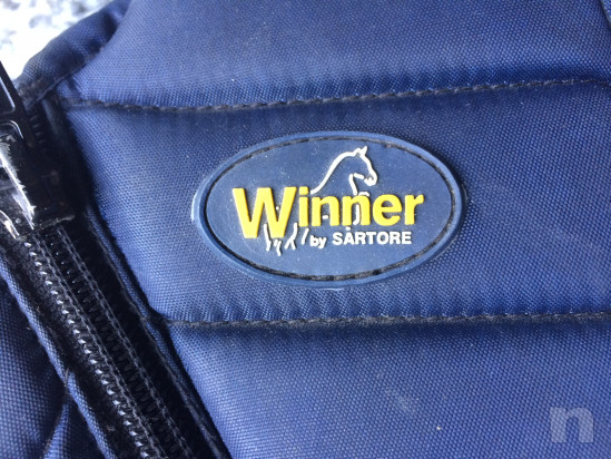 Tartaruga Winner da bambino foto-28532