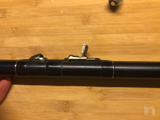 Canna Bolognese Mitchell Naikai 700 foto-28683