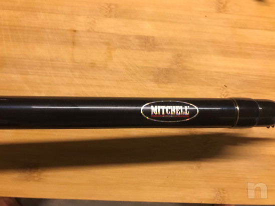 Canna Bolognese Mitchell Naikai 700 foto-28682