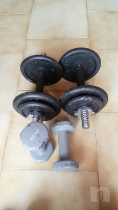 coppia pesi 12kg e 4kg foto-15221