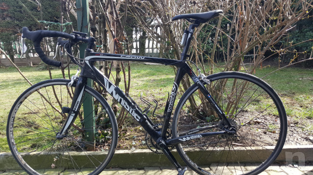 vendo bici corsa whistle carbonio foto-15301