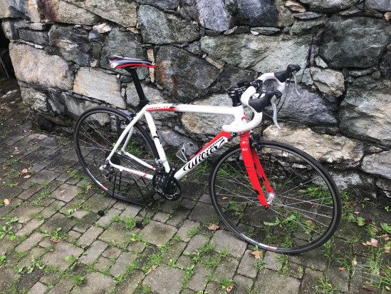 bici da corsa/strada Wilier Triestina Weekend seminuova foto-28914