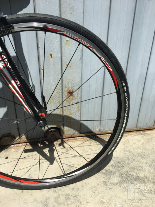 Viner xplus tg.M carbonio foto-29004