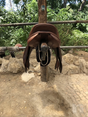 Sella da Salto Ostacoli  foto-29044