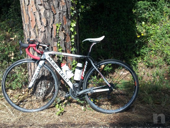 maxlelli vipera foto-1538