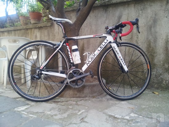 maxlelli vipera foto-2415