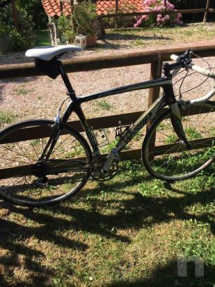 Whistle Crow carbonio foto-15386