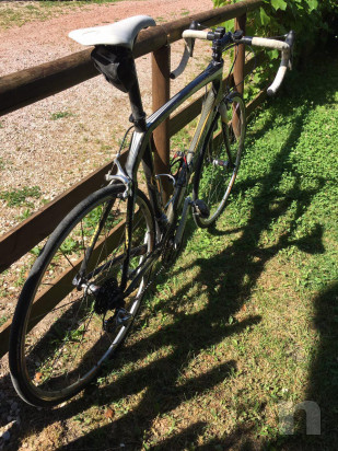 Whistle Crow carbonio foto-29108