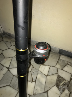 canne trota torrente foto-29161