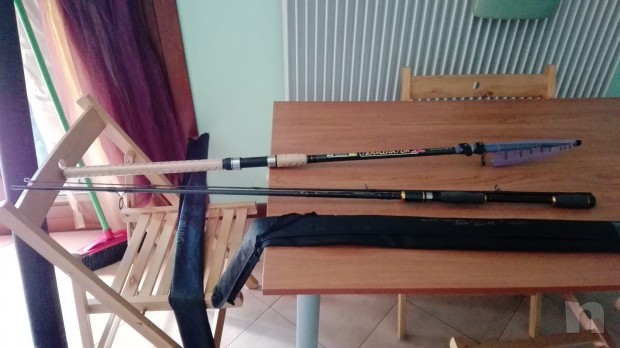 canne da pesca maver.daywa foto-1551