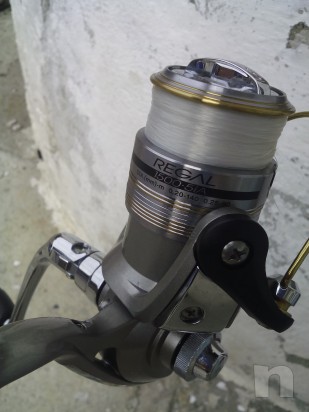 canna da pesca daiwa  foto-2451