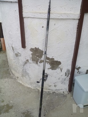 canna da pesca daiwa  foto-1555
