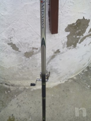 canna da pesca daiwa  foto-2452