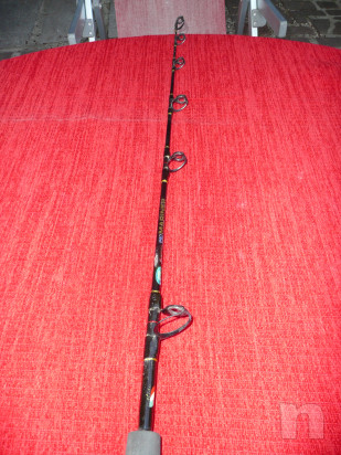 Canna da Pesca International Mariner stand up foto-29723