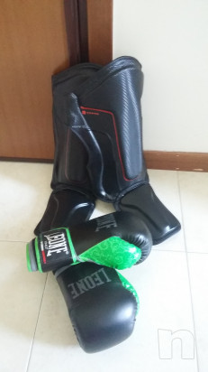 Guantoni Leone M. Paratibie L foto-15765