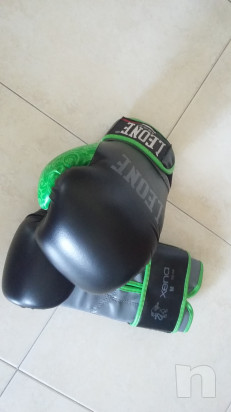 Guantoni Leone M. Paratibie L foto-29885