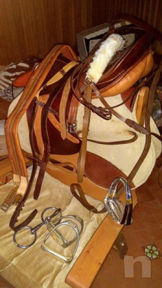 sella e finimenti Rossi & Caruso foto-29905