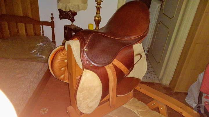 sella e finimenti Rossi & Caruso foto-15775