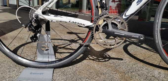 Bici da corsa Scout Carbon Team Taglia M Campagnolo foto-29981