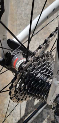 Bici da corsa Scout Carbon Team Taglia M Campagnolo foto-29984