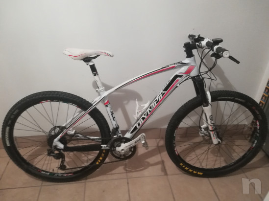 Bici MTB front XC Olympia Bull 27,5 (650b) foto-15807