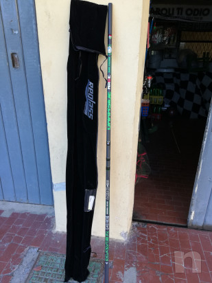 Canna mare  foto-30158