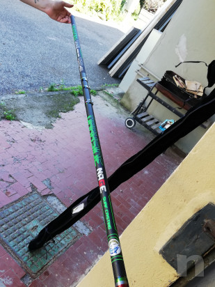 Canna mare  foto-15875