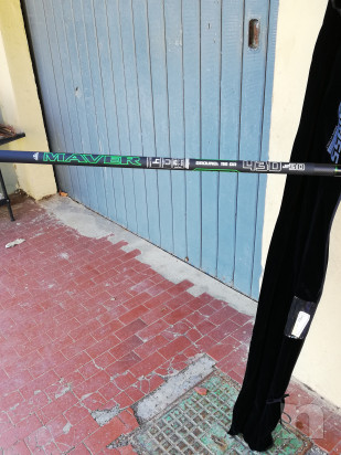 Canna mare  foto-30159