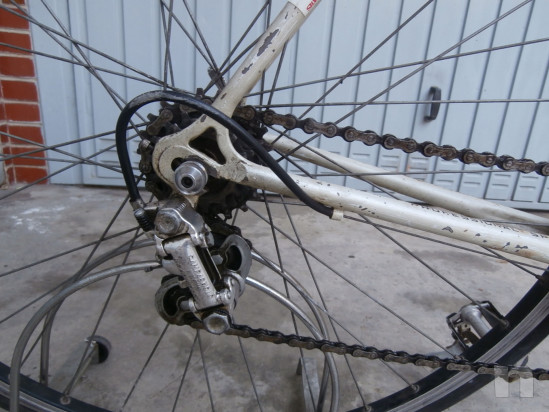 corsa VITTORIO FONTANELLA foto-30454