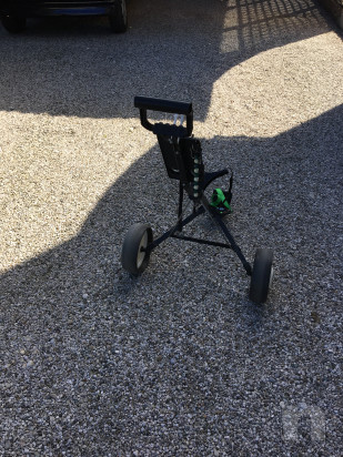 Carrello golf  foto-30480