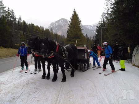 DOLOMITI - SCI ITINERANTE CON GUIDA DORMENDO IN RIFUGI SULLE PISTE foto-30556
