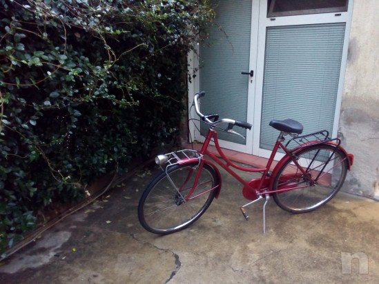 Bicilette uomo e donna foto-16154