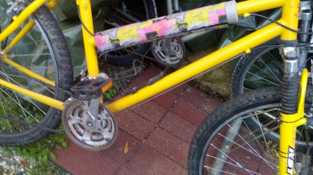 Vendo mountain bike donna foto-2630