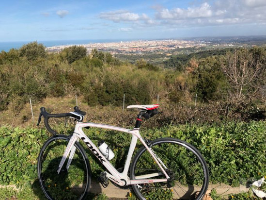Bici corsa in carbonio  foto-31499