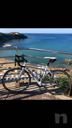 Bici corsa in carbonio  foto-16585