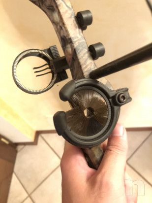 Arco compound bear apprentice  foto-31597