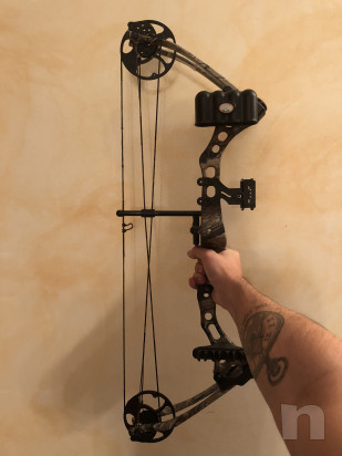 Arco compound bear apprentice  foto-31596