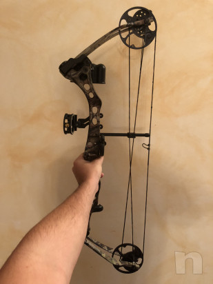 Arco compound bear apprentice  foto-16633